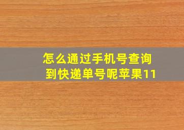 怎么通过手机号查询到快递单号呢苹果11