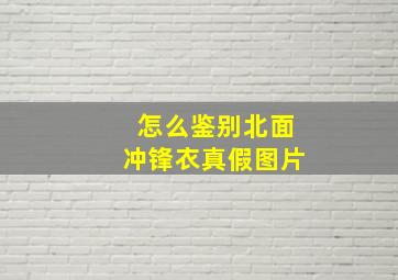 怎么鉴别北面冲锋衣真假图片