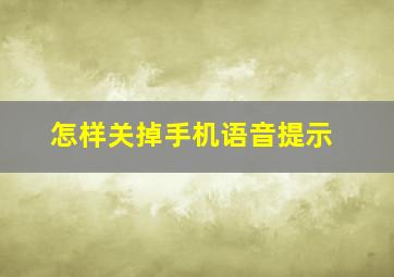 怎样关掉手机语音提示