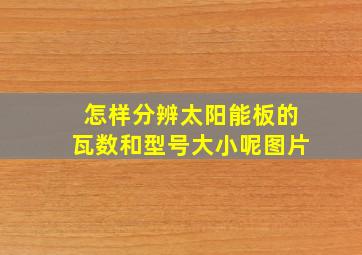 怎样分辨太阳能板的瓦数和型号大小呢图片