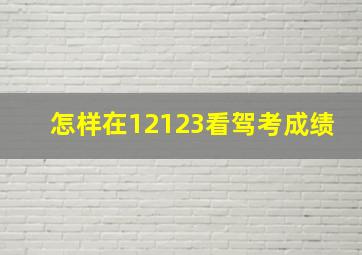 怎样在12123看驾考成绩