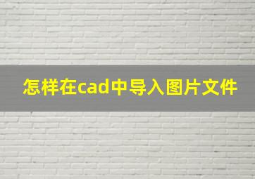 怎样在cad中导入图片文件