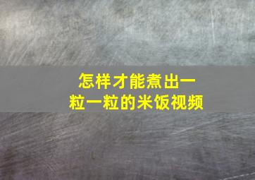 怎样才能煮出一粒一粒的米饭视频