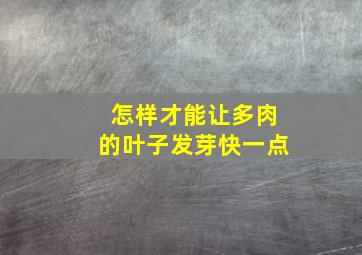 怎样才能让多肉的叶子发芽快一点