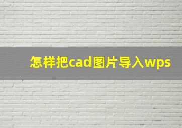 怎样把cad图片导入wps