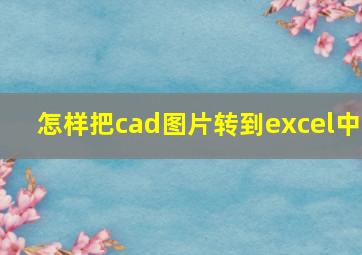 怎样把cad图片转到excel中