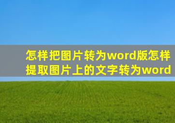 怎样把图片转为word版怎样提取图片上的文字转为word