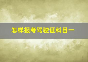 怎样报考驾驶证科目一