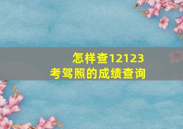 怎样查12123考驾照的成绩查询