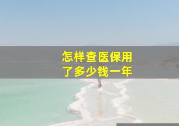 怎样查医保用了多少钱一年