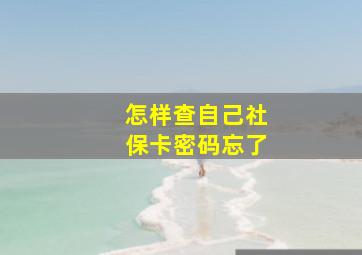 怎样查自己社保卡密码忘了