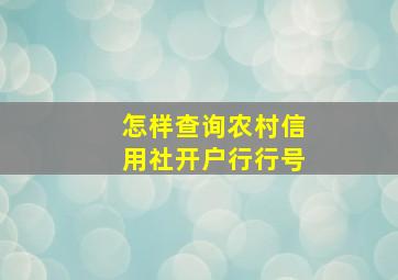 怎样查询农村信用社开户行行号