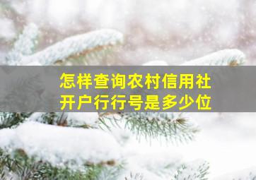 怎样查询农村信用社开户行行号是多少位