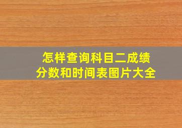 怎样查询科目二成绩分数和时间表图片大全