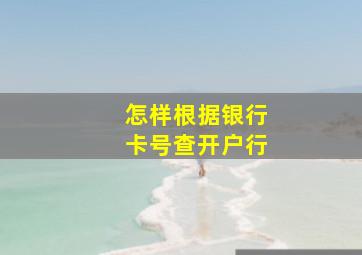 怎样根据银行卡号查开户行