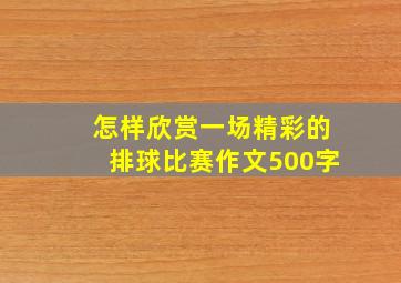 怎样欣赏一场精彩的排球比赛作文500字