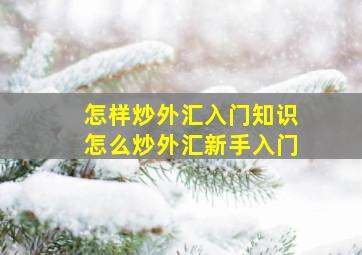 怎样炒外汇入门知识怎么炒外汇新手入门