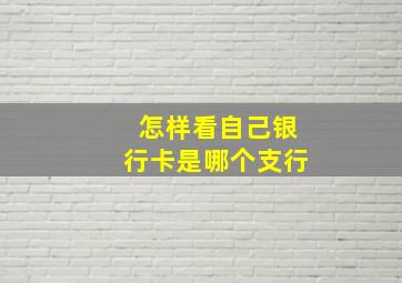 怎样看自己银行卡是哪个支行