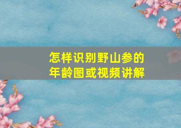 怎样识别野山参的年龄图或视频讲解