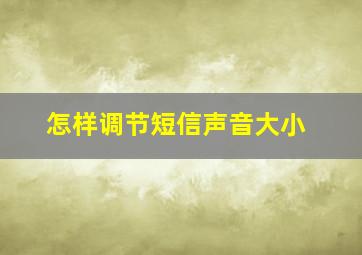 怎样调节短信声音大小