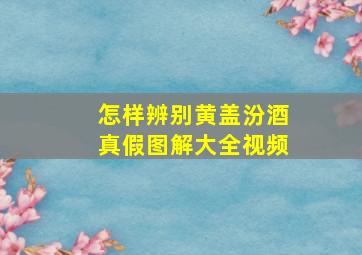 怎样辨别黄盖汾酒真假图解大全视频