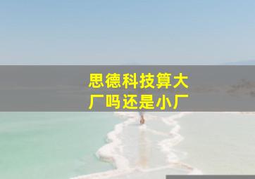 思德科技算大厂吗还是小厂