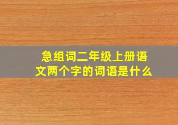 急组词二年级上册语文两个字的词语是什么