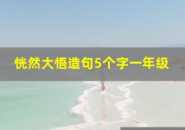 恍然大悟造句5个字一年级