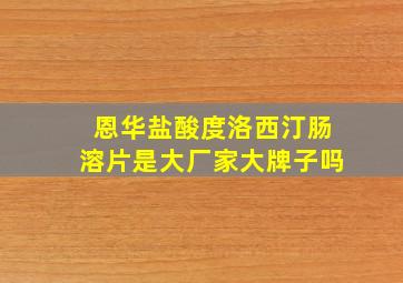 恩华盐酸度洛西汀肠溶片是大厂家大牌子吗