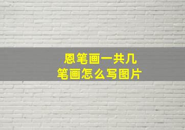 恩笔画一共几笔画怎么写图片