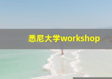 悉尼大学workshop