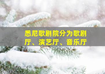 悉尼歌剧院分为歌剧厅、演艺厅、音乐厅