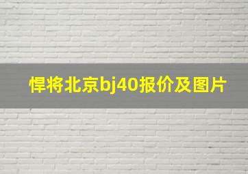 悍将北京bj40报价及图片