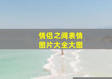 情侣之间表情图片大全大图