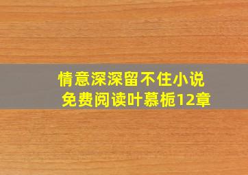 情意深深留不住小说免费阅读叶慕栀12章