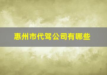 惠州市代驾公司有哪些