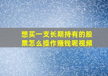 想买一支长期持有的股票怎么操作赚钱呢视频