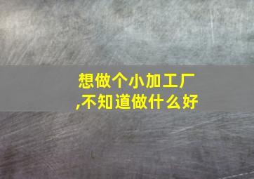 想做个小加工厂,不知道做什么好