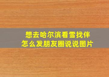 想去哈尔滨看雪找伴怎么发朋友圈说说图片