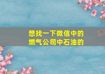 想找一下微信中的燃气公司中石油的