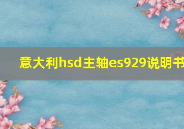 意大利hsd主轴es929说明书