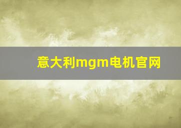 意大利mgm电机官网