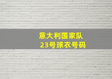 意大利国家队23号球衣号码