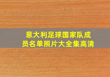 意大利足球国家队成员名单照片大全集高清