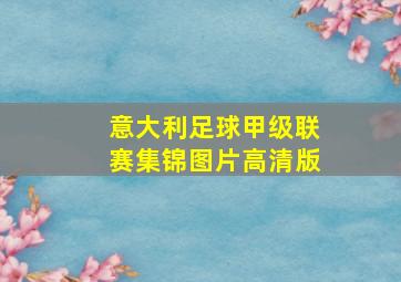 意大利足球甲级联赛集锦图片高清版