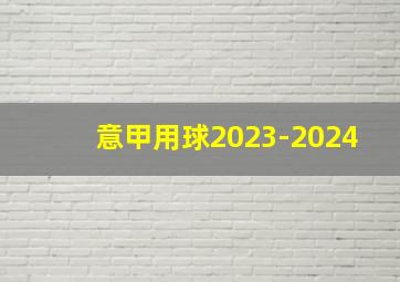 意甲用球2023-2024