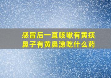 感冒后一直咳嗽有黄痰鼻子有黄鼻涕吃什么药