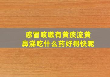 感冒咳嗽有黄痰流黄鼻涕吃什么药好得快呢