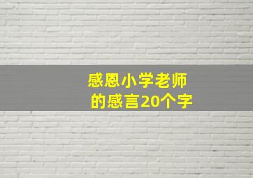 感恩小学老师的感言20个字