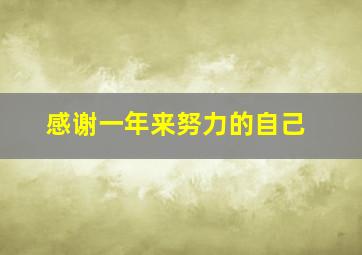 感谢一年来努力的自己